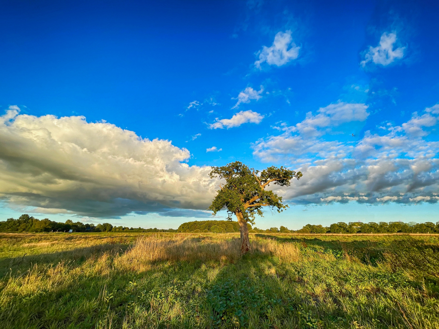 Geelbroek DA 23-09-26 (14)