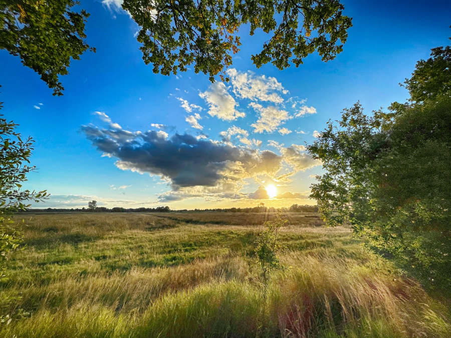 Geelbroek DA 23-09-26 (7)