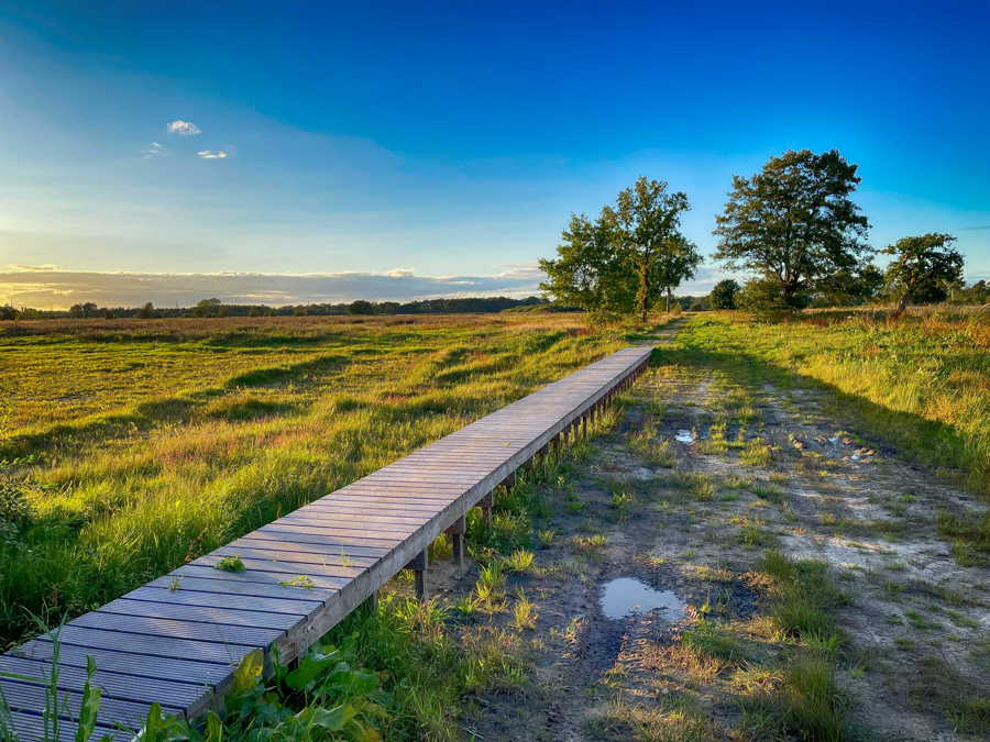 Geelbroek DA 23-09-26 (8)